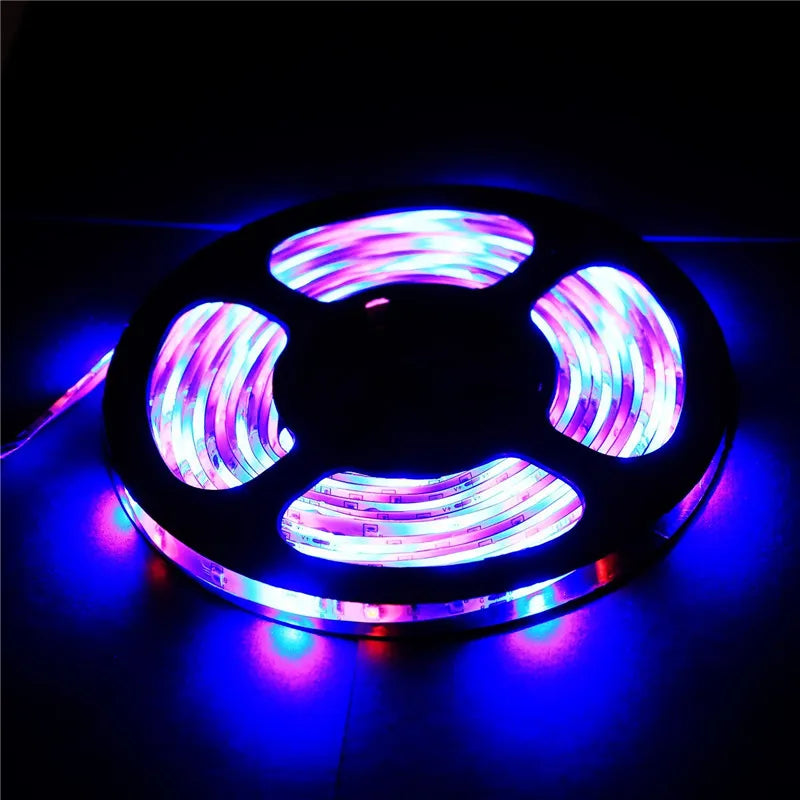 LED Strip Light 12V 5M 300 Leds SMD 3528 Diode Tape RGB & Single Colors High Quality LED Ribbon Flexible Home Decoration Lights