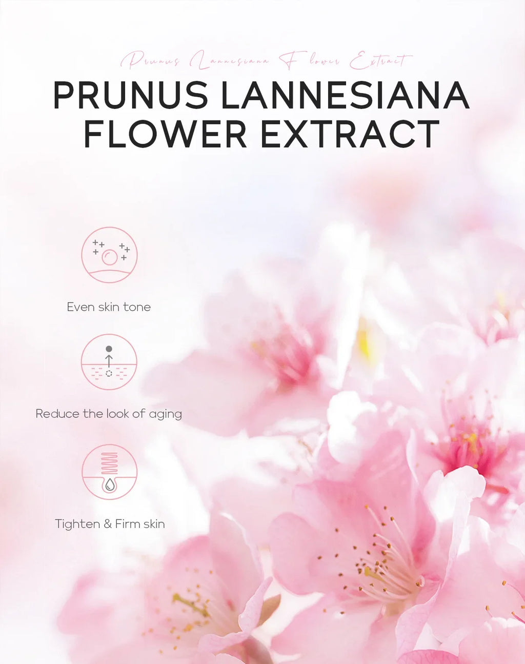 LAIKOU Japan Sakura Moisturizing Face Mask Deep Hydration Brightening Skin Care Facial Sheet Mask for Dry Skin