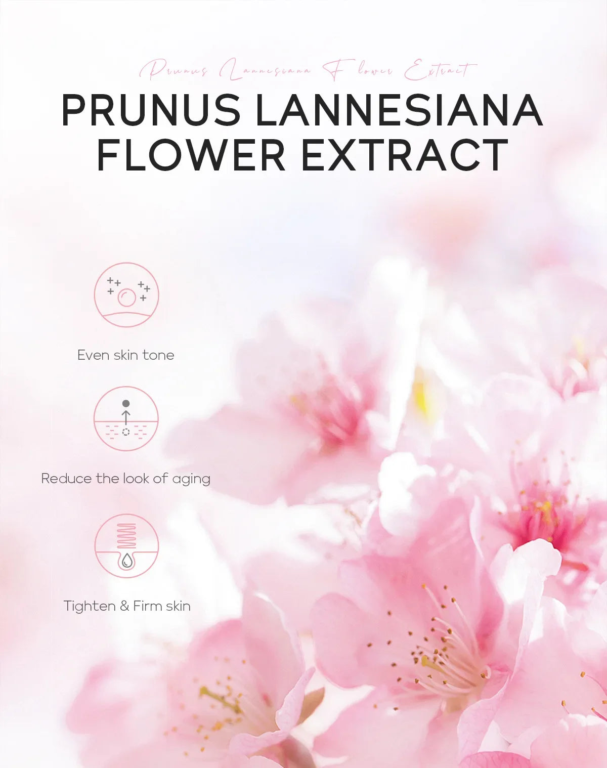 LAIKOU Japan Sakura Moisturizing Face Mask Deep Hydration Brightening Skin Care Facial Sheet Mask for Dry Skin