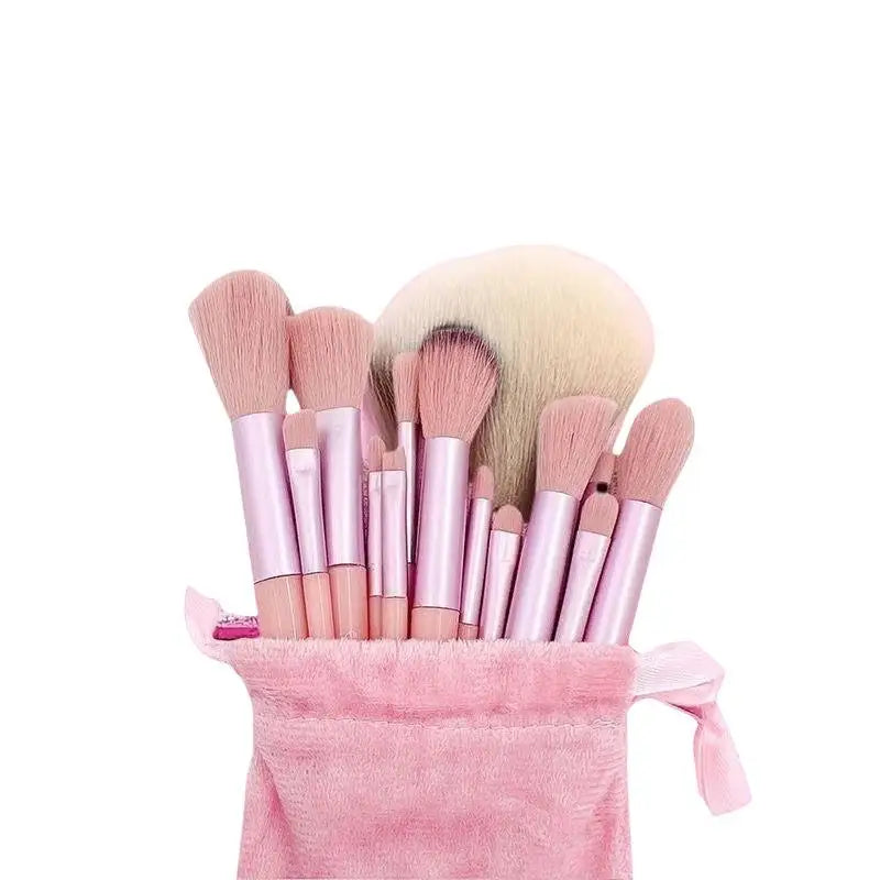 13 Pcs Professional Makeup Brush Set with Accessories for Combination Skin Soft Brushes Suitable for Beginners Beauty Kit